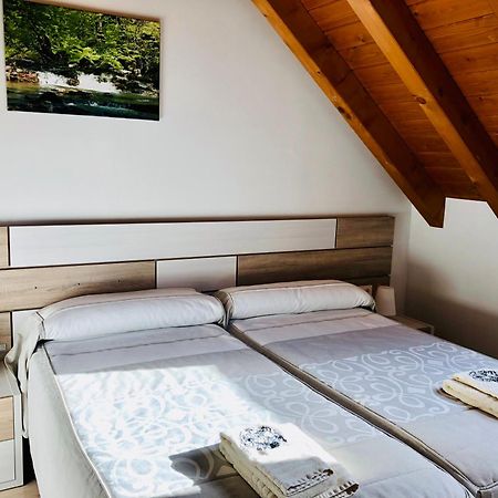 Apartamentos Zabalarena Basoa Orbaitzeta Zewnętrze zdjęcie
