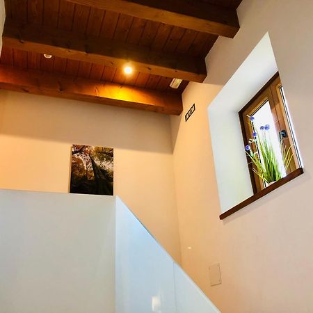 Apartamentos Zabalarena Basoa Orbaitzeta Zewnętrze zdjęcie