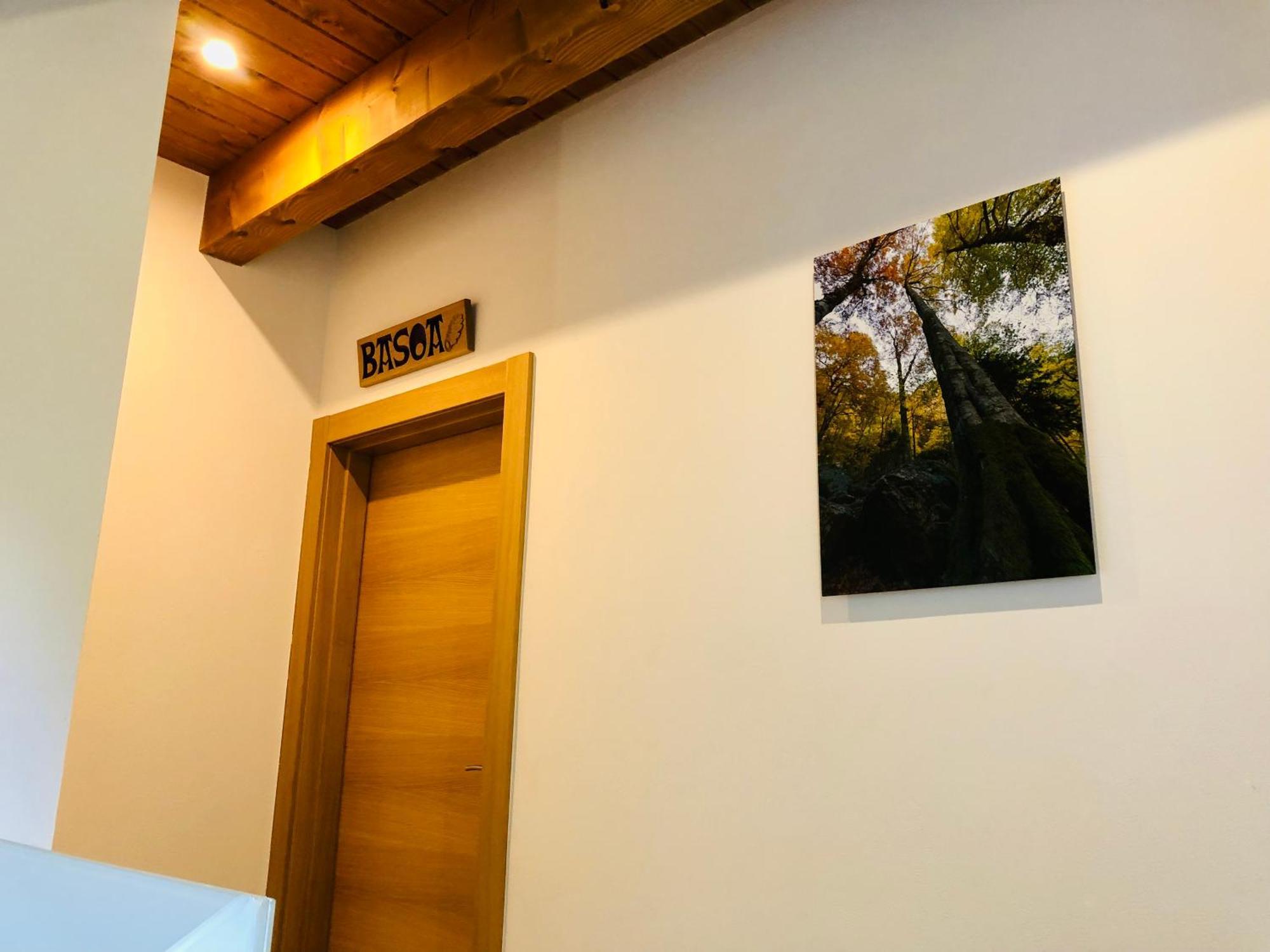 Apartamentos Zabalarena Basoa Orbaitzeta Zewnętrze zdjęcie