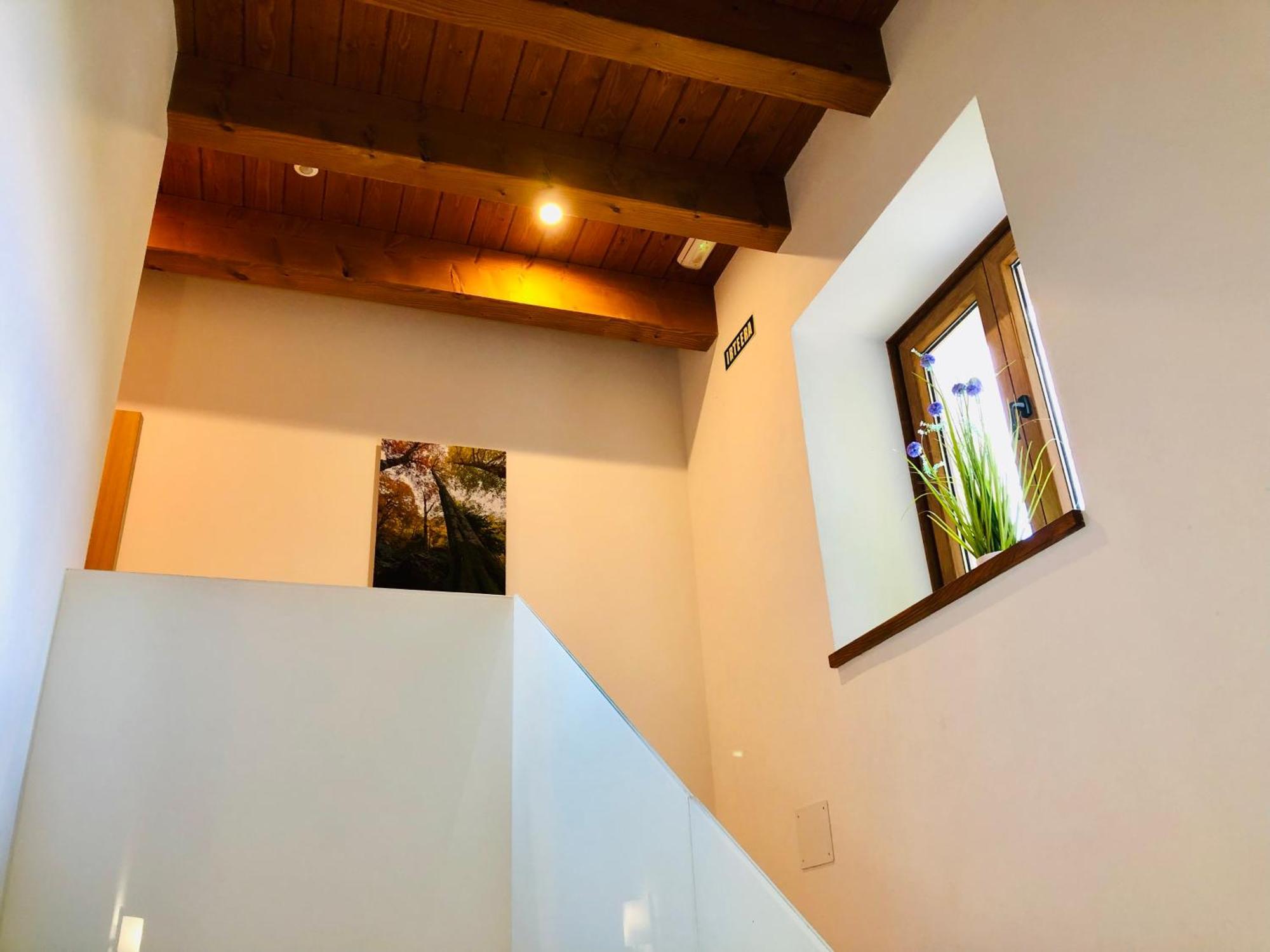 Apartamentos Zabalarena Basoa Orbaitzeta Zewnętrze zdjęcie